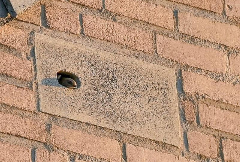 De Spieker Kamerik inbouwsteen gierzwaluw
